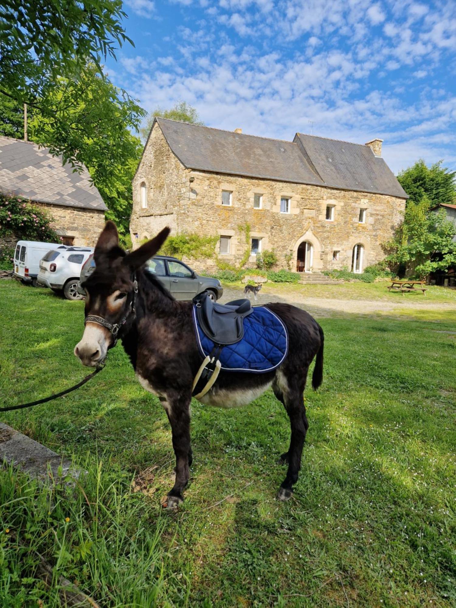 Manoir De Questinguy Bed & Breakfast Allineuc Exterior foto